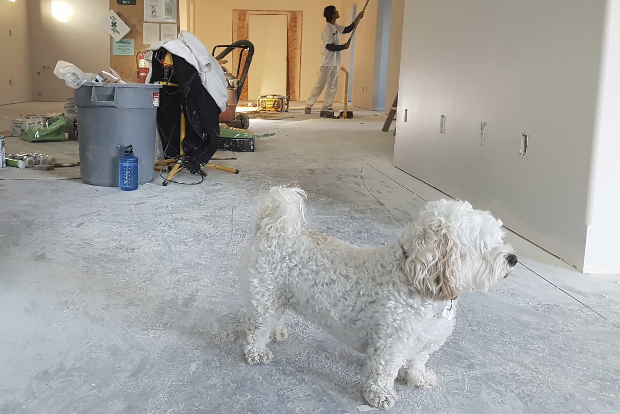 Plaster and insulate,  before you can paint the walls